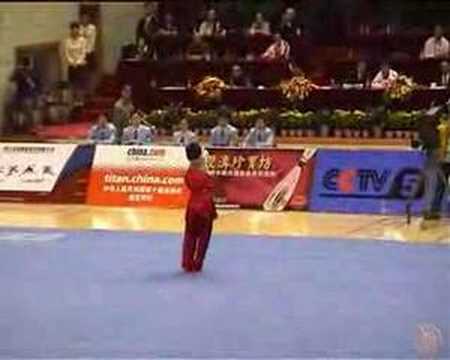 10th All China Games 2005 - GS - Liu Xiao Lei (Beijing)