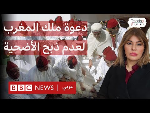 فيديو | الملك محمد السادس يدعو المغاربة لعدم ذبح الأضحية هذا العام.. ما رأيكم؟