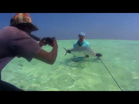 Giant Trevally - GT-  tropical saltwater fly-fishing, 2018