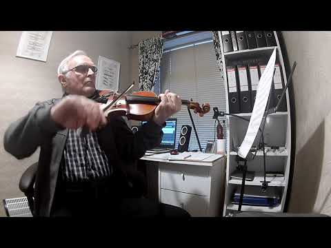 What Could Have Been - ARCANE OST  By: STING ft. Ray Chen Arr. Caliko