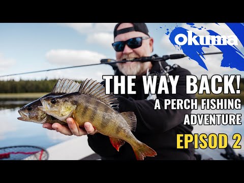 The way back - A perch fishing adventure [Episod 2]