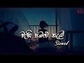 Wahi Pabalu Sali Slowed Reverb Bass Boot Present