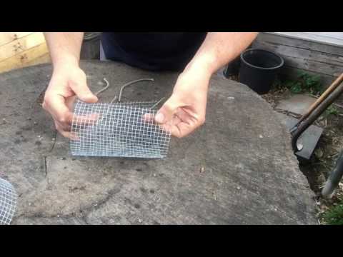 Protecting Cucumber Seedlings from Rabbits