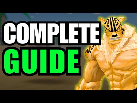 RELL Seas Explained in 20 Minutes!