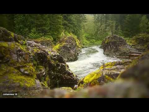 Johannes 16. Die Bibel.