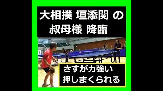 大相撲元小結 垣添関の伯母様降臨！さすが力強い卓球で押しまくられる！