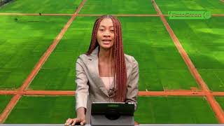 JT DU 24 FEVRIER 2026 : Retrouvez le journal de 18h45 avec Sara BOUGOUMA