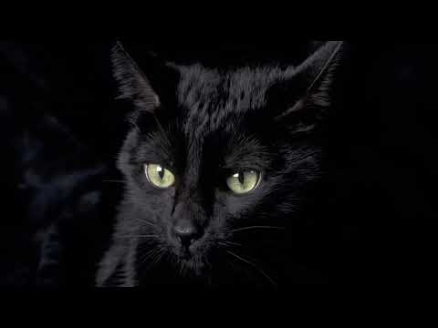 JAMAL - Black Magic II