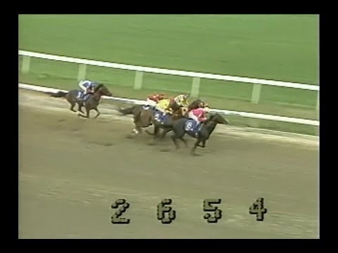 1984 Meadowlands Cup