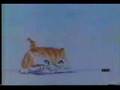 Bumper Pubblicita