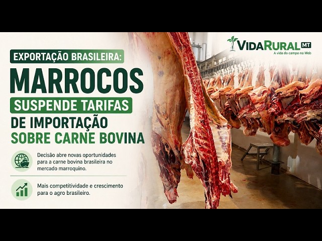 MARROCOS SUSPENDE TARIFAS DE IMPORTAÇÃO SOBRE CARNE BOVINA
