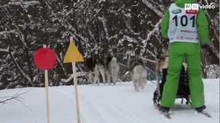 preview picture of video 'Завіруха-2013 / Dog race'