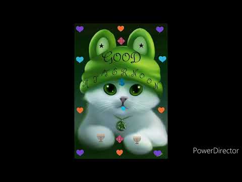 B. O. F. Member Xuan Eshan🐱🚓