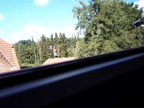 Probealarm am 1.9.18 aus der Ferne