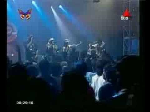 Irosha ft. Iraj - Hot n' Sexy (Live Performance)