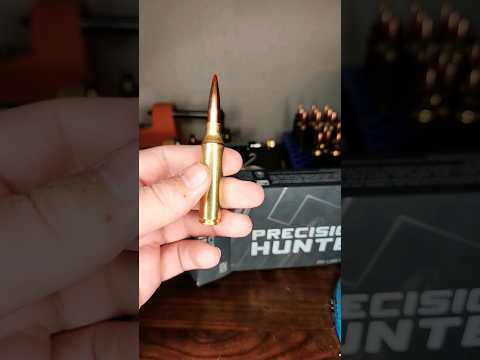 Gun Gear Review: Hornady HIT Target Impact Indicator