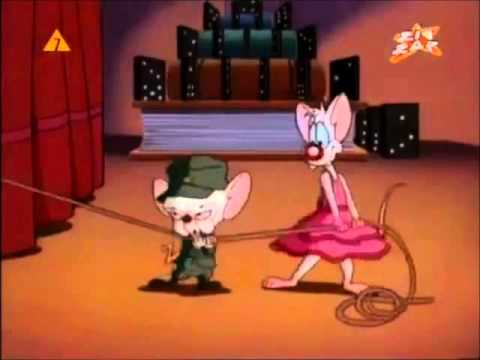 Pinky i Mózg - Wielki Dyktator