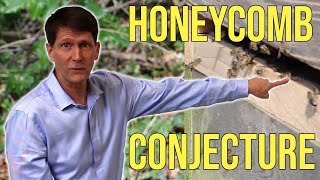 Thumbnail for Why do Bees build Hexagons? Honeycomb Conjecture explained