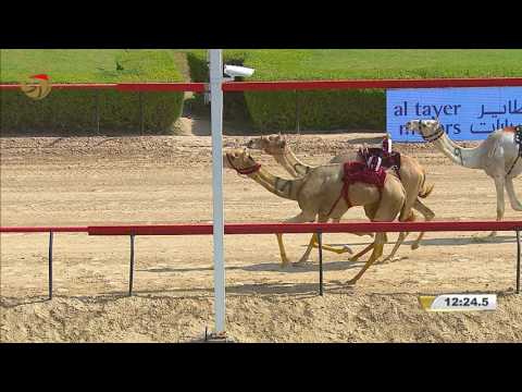 مهرجان ختامي المرموم– حول وزمول للشيوخ 17-4-2017 م- ملخص السباق