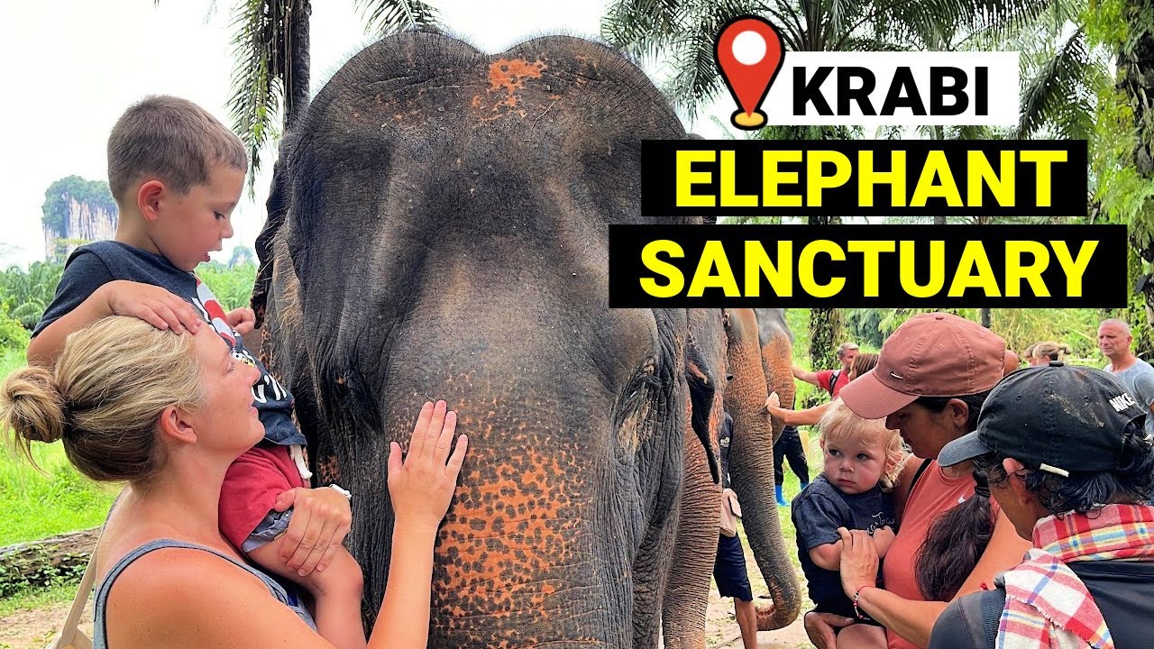 Embark on a journey to the Krabi Elephant Sanctuary.