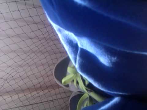 21. April 2015 18:09