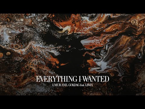 Umur Anil Gokdag feat. Liwia - Everything I Wanted