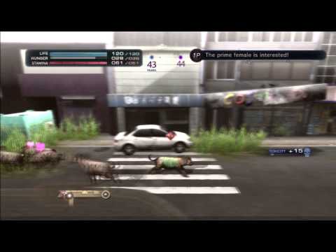 Tokyo Jungle S16 P3 HD - No laughing matter