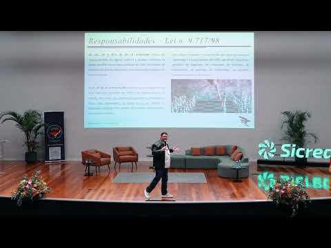 Os Órgãos Colegiados na Gestão do RPPS
