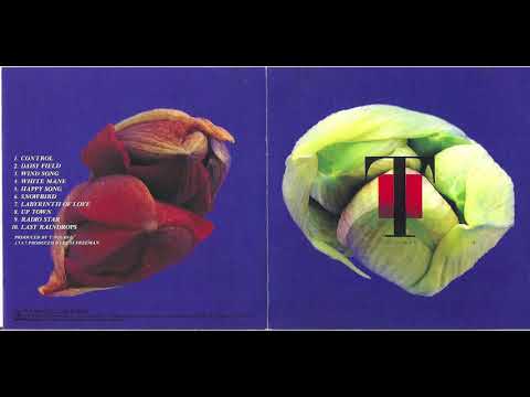 T-Square - Natural - 09 radio star