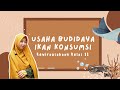 Analisia 6m Tentang Penjualan Ikan Hias