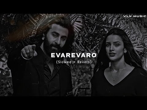 Animal - Evarevaro (Slowed + Reverb) || Ranbir, Rashmika || VLN Music