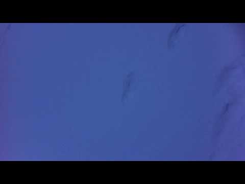 Misha Alperin - To Sviatoslav Richter