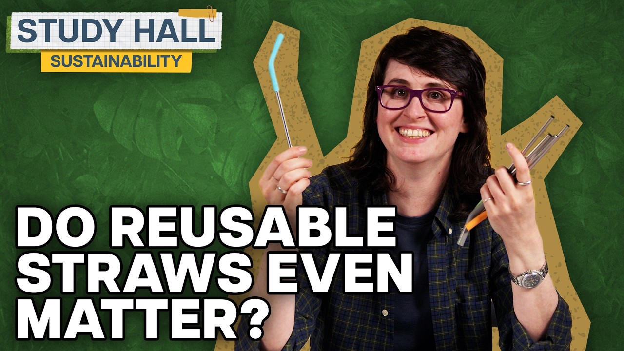 What it means to be “sustainable” | Sustainability 1 of 31 | Study Hall