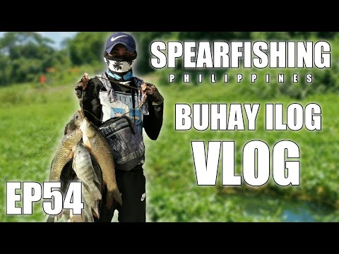 EP54 - BULACAN VLOG! #spearfishing #spearfishingphilippines #spearfishingcatchandcook #buhayilog
