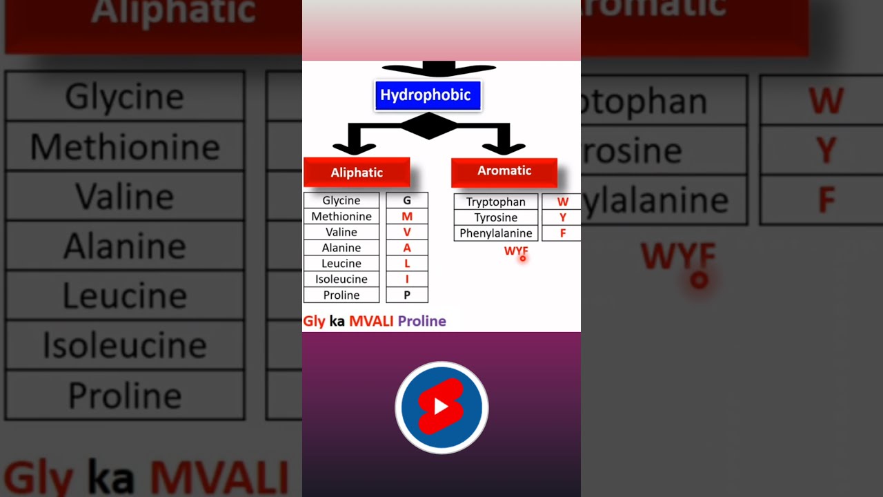 How to Remember Amino Acids with Hydrophobic Side Chains | Biomolecules Class 11 NCERT #shorts #neet