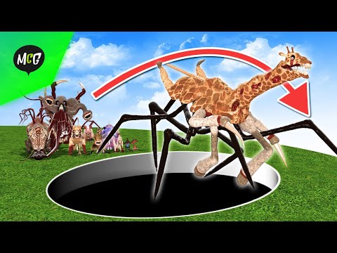 Zoochosis Animal Highest Jump Contest!