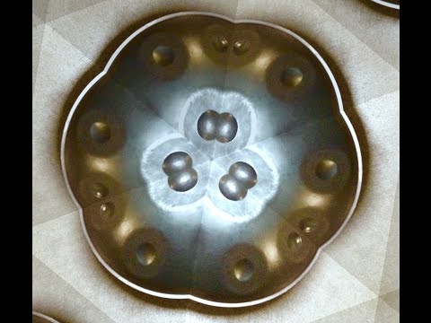 Ayasa E Romanian Hijaz