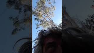 FULL EXPOSURES HUMANIPLEX AND MISUSE OF THE TRUST https://www.youtube.com/playlistlist=PLg1sini32YG