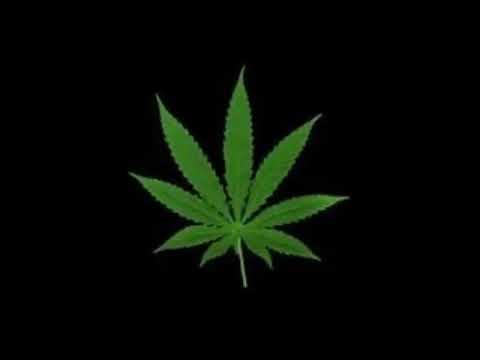 HI LIGHT FT T.V - IF EVERYBODY SMOKE