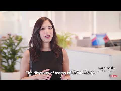 Meet the Finance Team at Dow Terneuzen