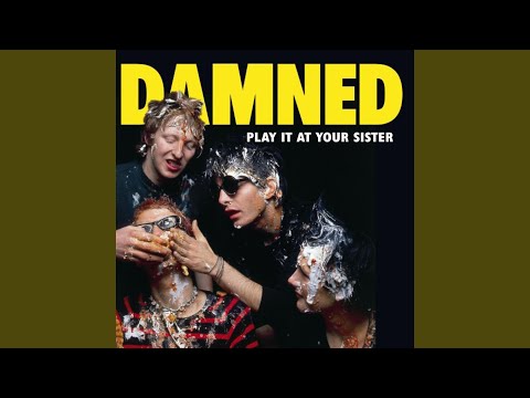 Stretcher Case Baby - The Damned