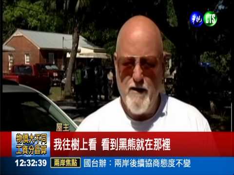 "重摔熊"又來! 消防備軟墊伺候