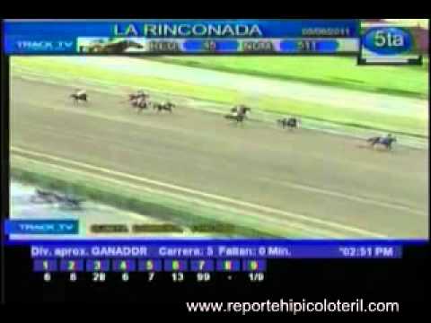 Resumen Domingo 05 de Junio, La Rinconada