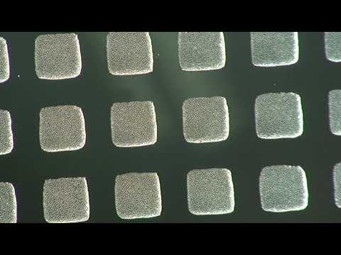 Bob Willis Solder Paste Defect Video - Stencil Contamination