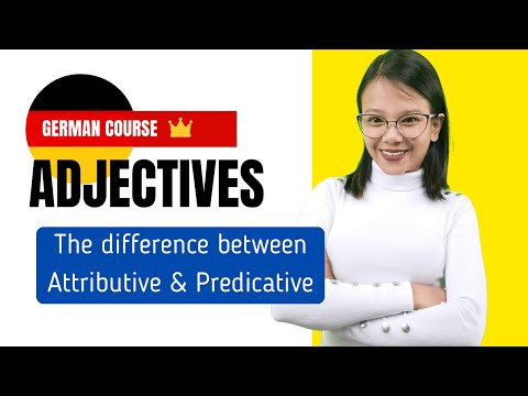 German Course: Adjectives — Attributive vs. Predicative | Lesson 14