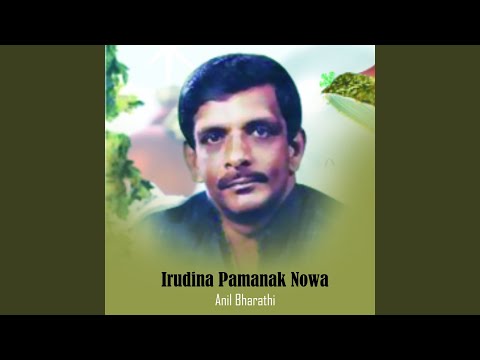 Irudina Pamanak Nowa