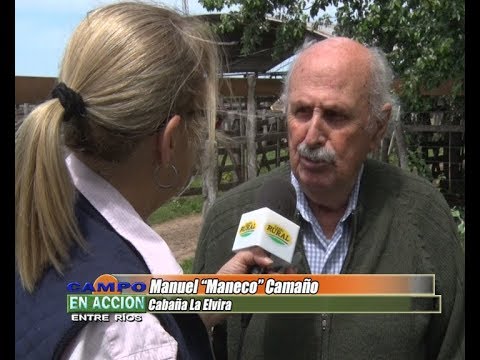 Manuel Camaño - Angus Entrerriano 2017