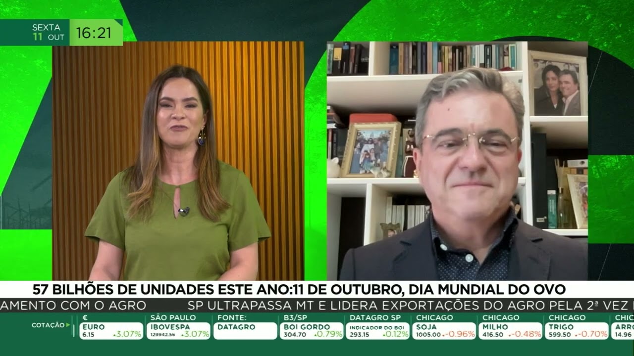 57 bilhões de unidades este ano: 11 de outubro, dia mundial do ovo