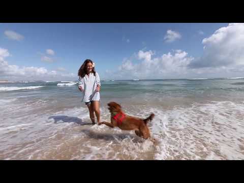 Pousada Barbara  Praia da Pipa RN