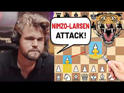 Magnus Carlsen vernichtet einen Großmeister mit dem Nimzowitsch-Larsen-Angriff!